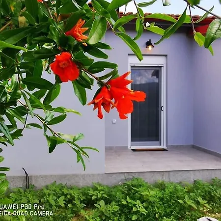 Ktima Mimoza Appartement Sykia Chalkidikis Buitenkant foto