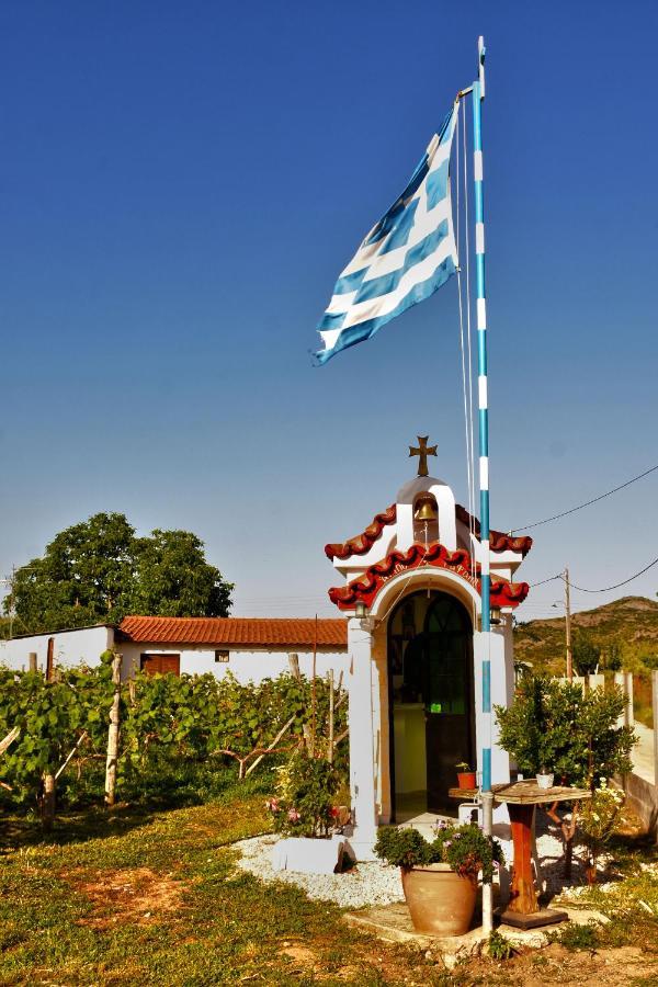 Ktima Mimoza Sykia Chalkidikis